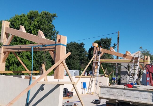 Création d’un poolhouse en bois avec charpente apparente et toiture traditionnelle - Monteux (84170) - Photo 05